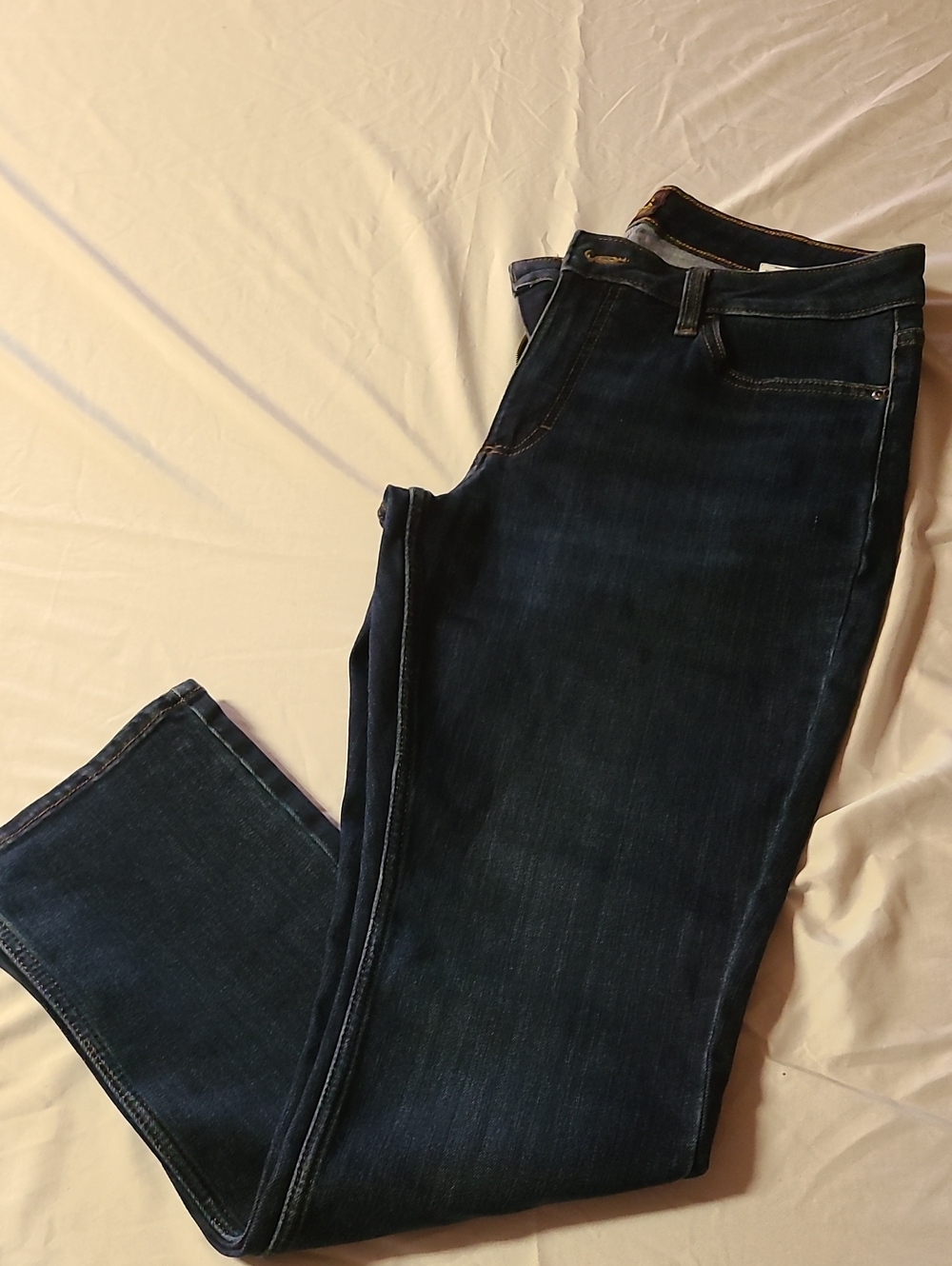 Lee Women’s Skinny Jeans in Dark Indigo